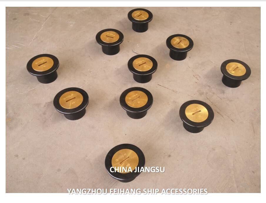 Голова прослушивающей трубы тип A65 Cb/T3778 Голова прослушивающей впрыскивающей трубы корпус литая стальная крышка латунь