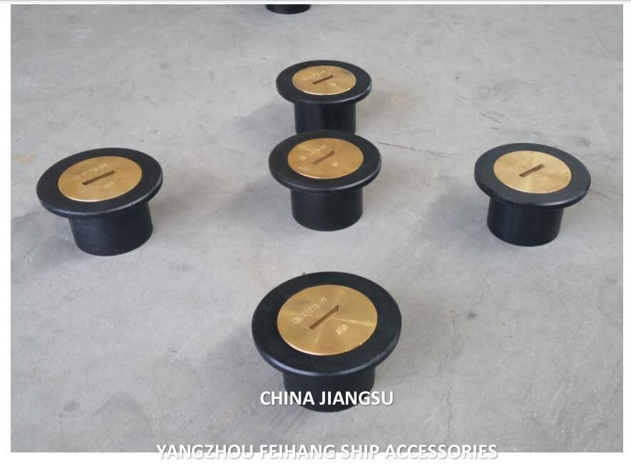 Голова прослушивающей трубы тип A65 Cb/T3778 Голова прослушивающей впрыскивающей трубы корпус литая стальная крышка латунь