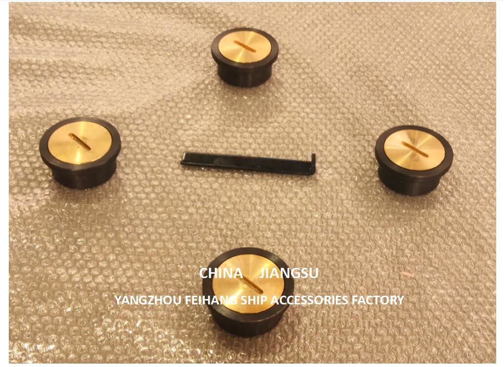 Голова прослушивающей трубы тип A65 Cb/T3778 Голова прослушивающей впрыскивающей трубы корпус литая стальная крышка латунь