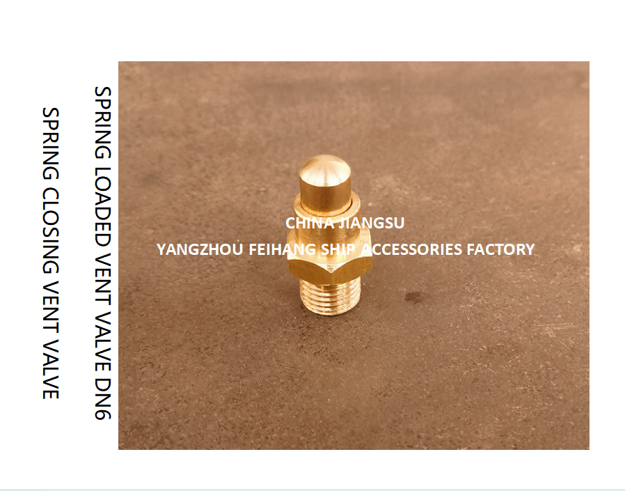 DN6 Spring Closing Vent Valve with Thread M13 and CB/T3778-1999 Standard for Marine Applications