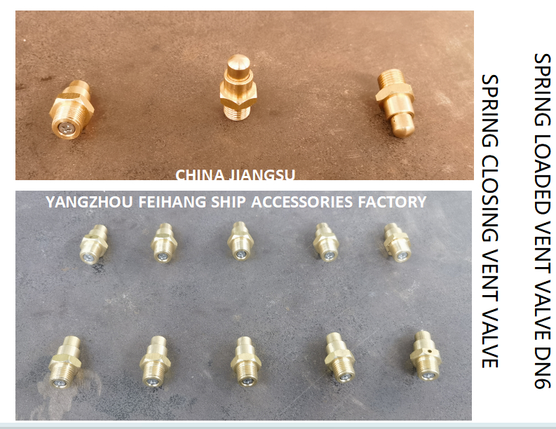 DN6 Spring Loaded Vent Valve with Threaded Ends Compliant with CB/T3778-1999 Standard