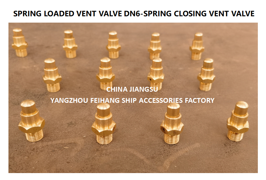 DN6 Brass Spring Loaded Vent Valve with Threaded Ends Compliant to CB/T3778-1999 Standards