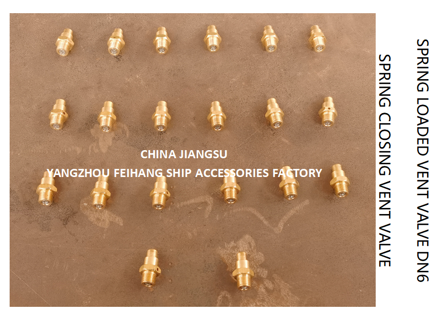 DN6 Threaded Spring Loaded Vent Valve with CB/T3778-1999 Standard for Marine Applications