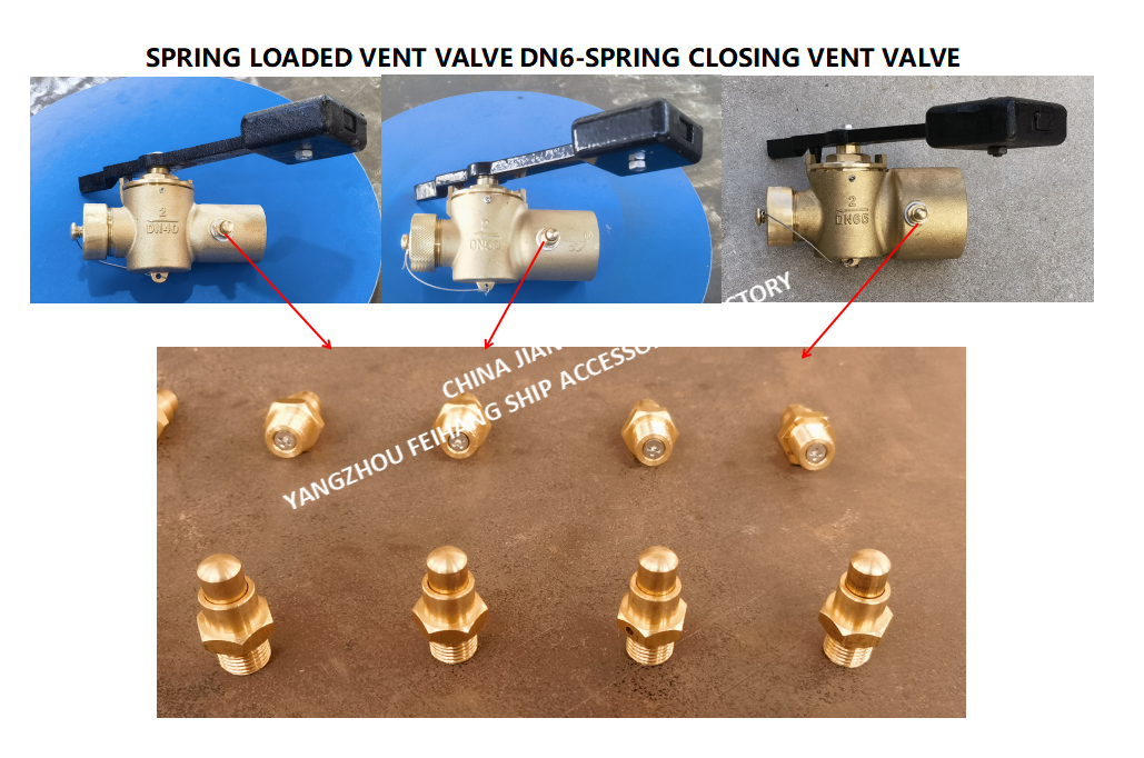 DN6 Threaded Spring Loaded Vent Valve with CB/T3778-1999 Standard for Marine Applications